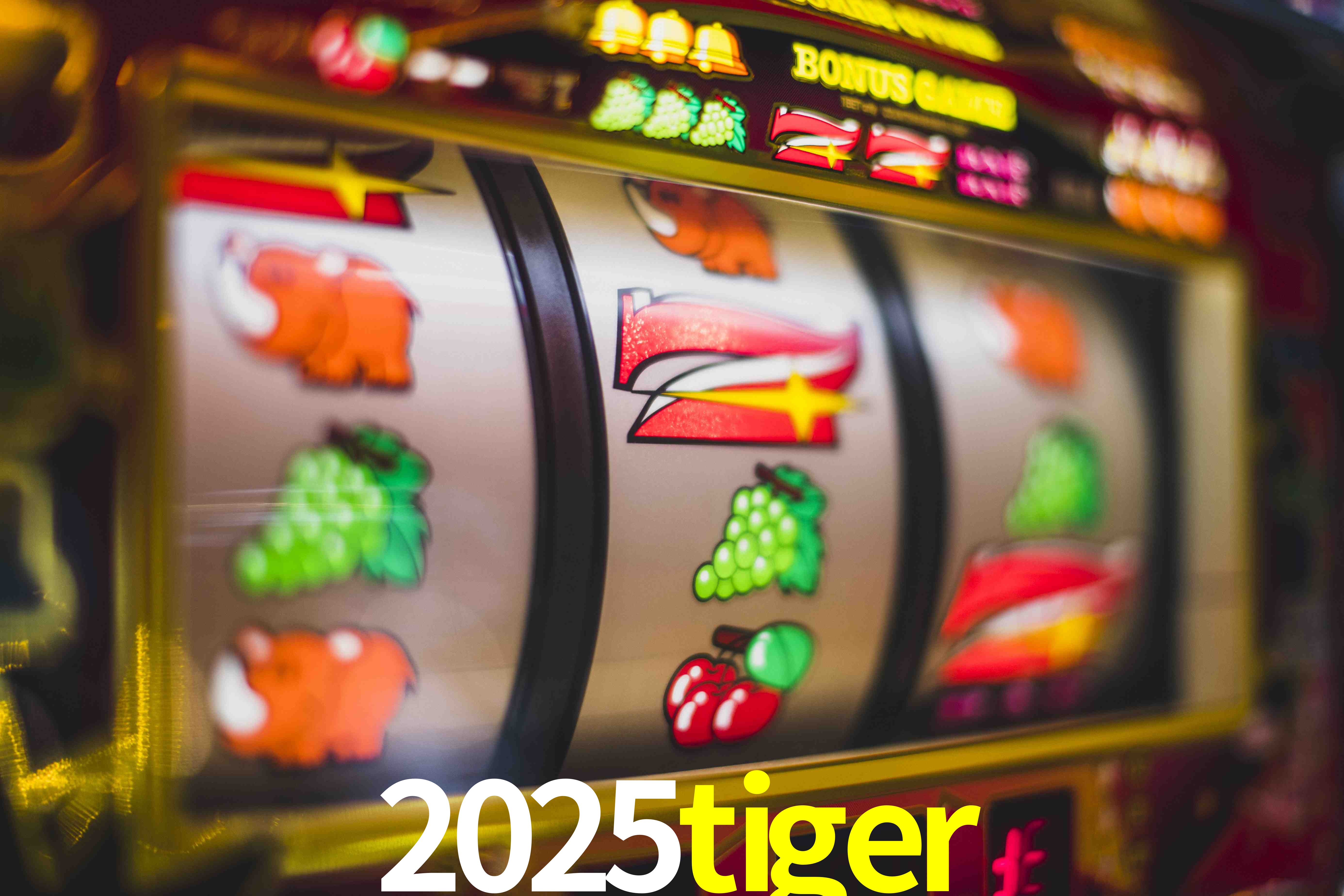 Tennis Betting 2025tiger